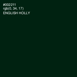 #002211 - English Holly Color Image